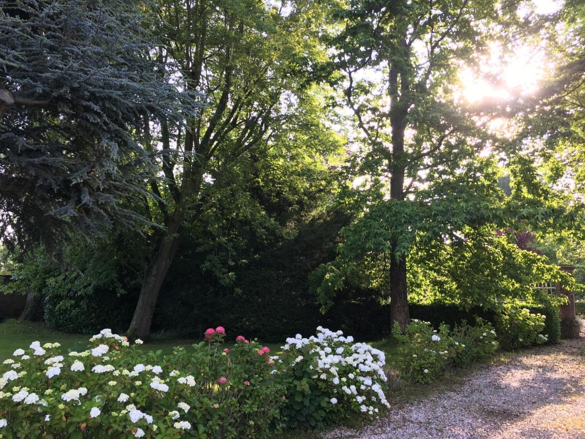Les Jacquemarts Normands Maison D'Hotes - Guesthouse Belmesnil Dış mekan fotoğraf